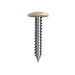 Screw Button Head Needle Point White 8gx30 100pk Bremick