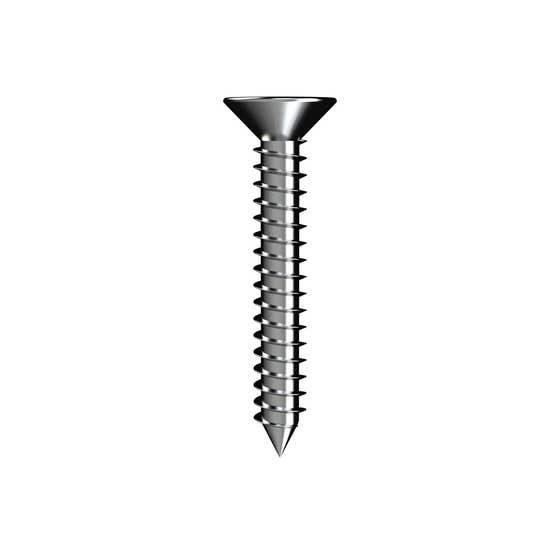 Screw Self Tapper Countersunk 10gx30m 302 50Pack Bremick