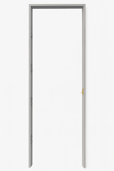 Prehung Door Jamb Set Single 820 Plain (incl Stop)